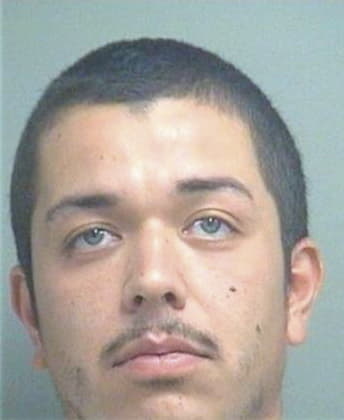 Andres Alvarezduque, - Palm Beach County, FL 